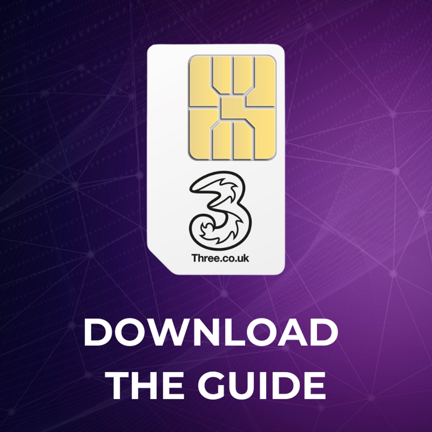 DOWNLOAD THE GUIDE2